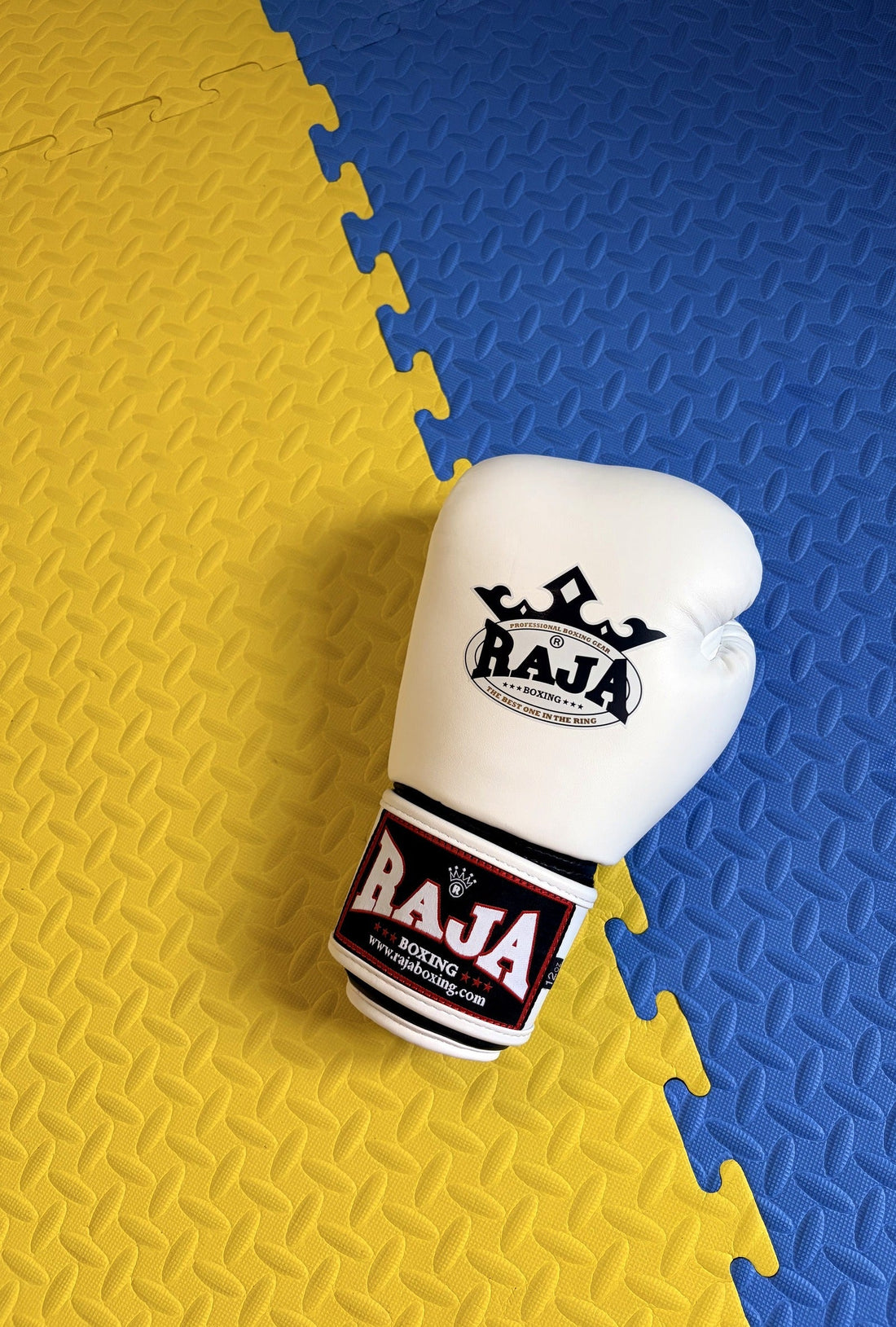 Ile kosztuje sprzęt na start do Muay Thai?